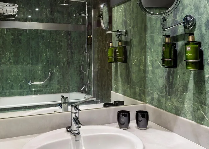 Hotel Melia Lebreros 4*