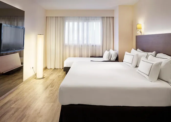 Hotel Melia Lebreros