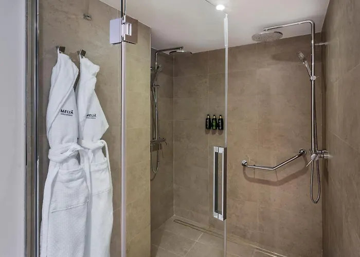 Hotel Melia Lebreros